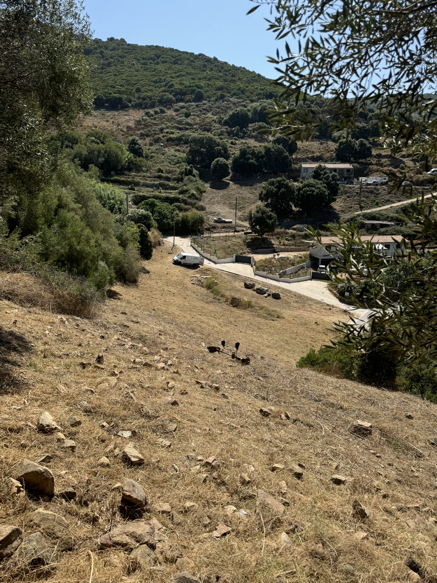 Débroussaillage d'un terrain à Villanova par Corse Elagage